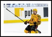Andreas Johnson Skellefteå AIK-0