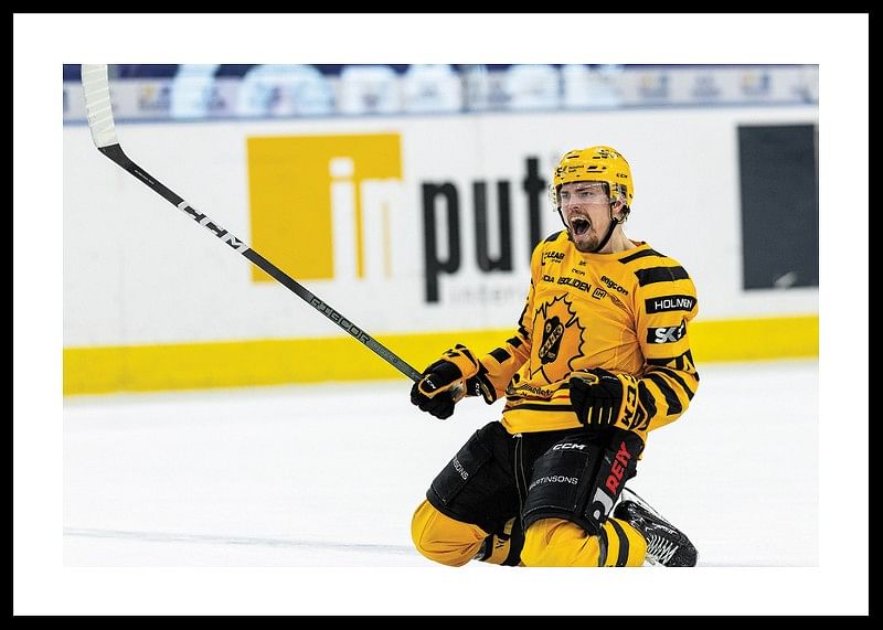 Andreas Johnson Skellefteå AIK-12