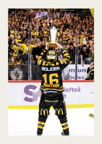 Skellefteås Linus Lindström efter final fem i SHL-5