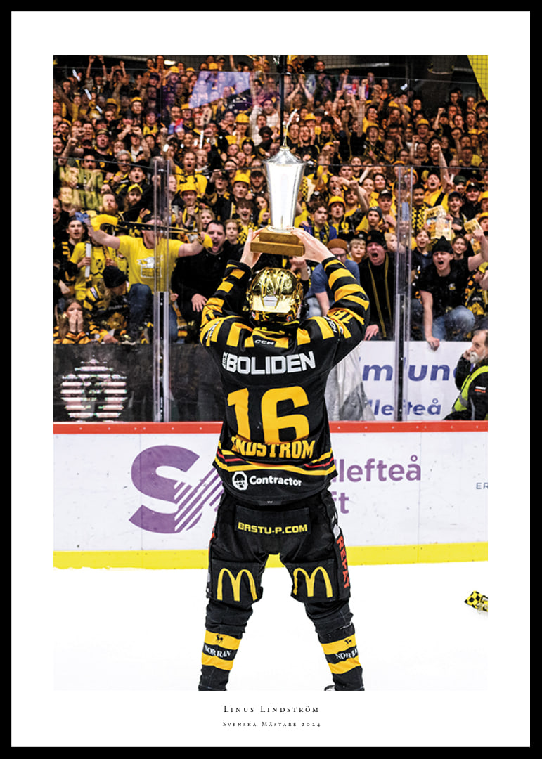 Skellefteås Linus Lindström efter final fem i SHL-12