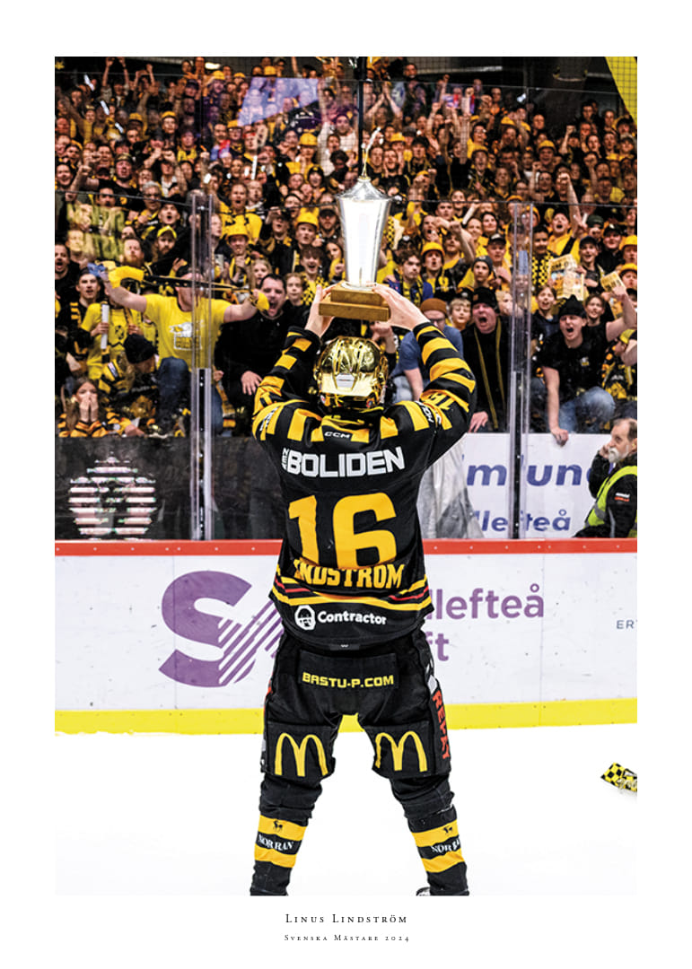 Skellefteås Linus Lindström efter final fem i SHL-12
