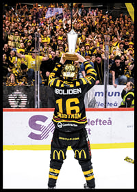 Skellefteås Linus Lindström efter final fem i SHL-8