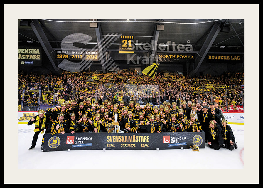 Skellefteås spelare jublar efter final fem i SHL-12