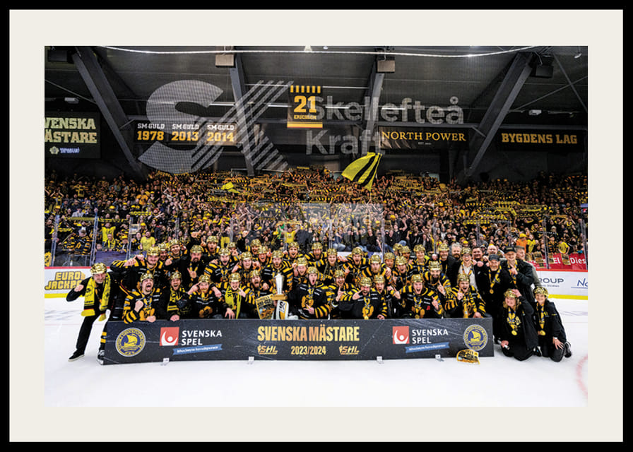 Skellefteås spelare jublar efter final fem i SHL-12