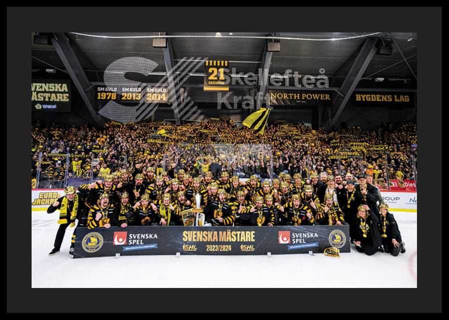 Skellefteås spelare jublar efter final fem i SHL-12