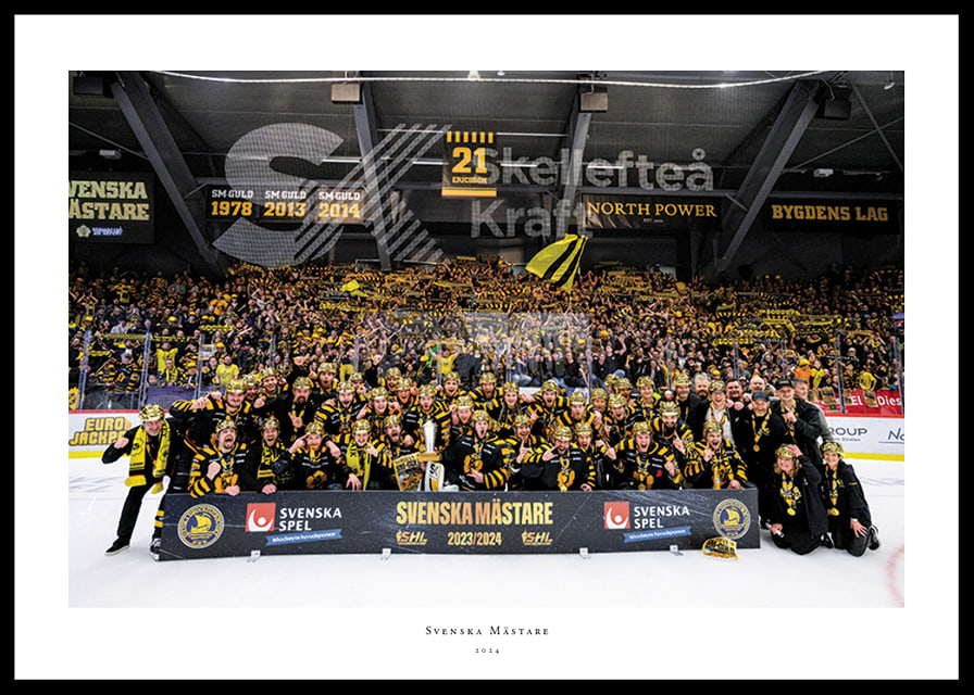 Skellefteås spelare jublar efter final fem i SHL-12