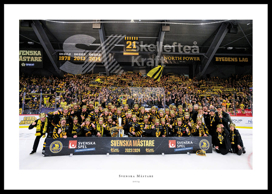 Skellefteås spelare jublar efter final fem i SHL-12