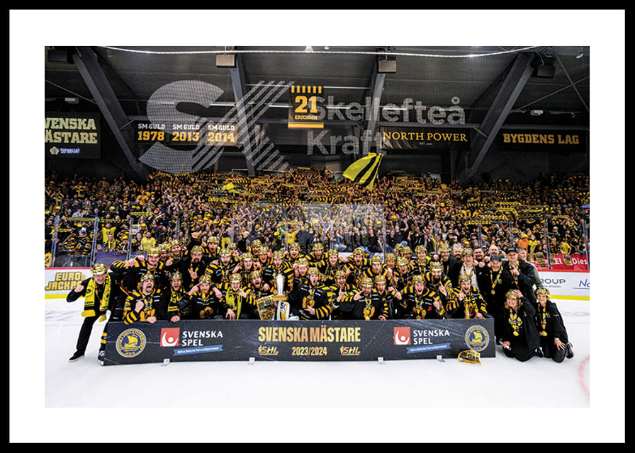Skellefteås spelare jublar efter final fem i SHL-12
