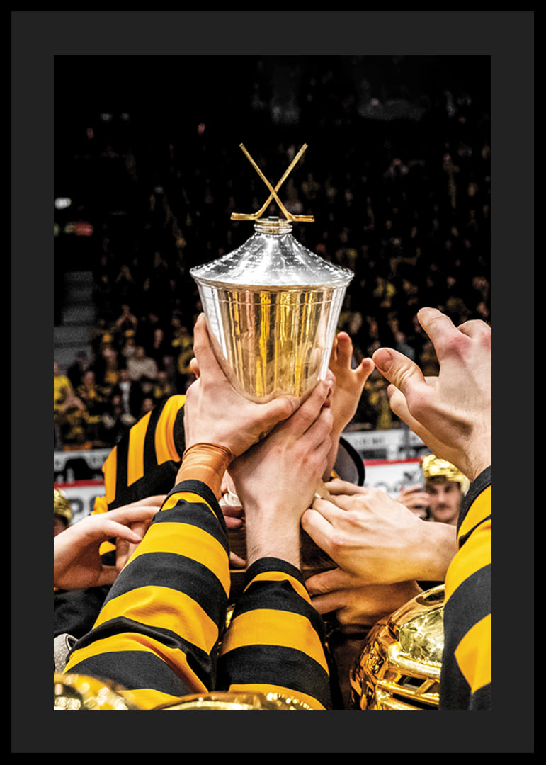 Skellefteås spelare jublar med LeMat pokalen efter final fem i SHL-12