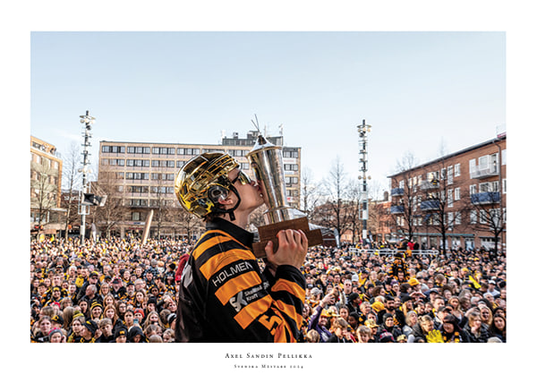 Poster Axel Sandin Pellikka Guld Skellefteå AIK