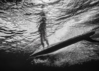 Black and white poster with a photograph of an underwater view with a silhouette of a surfer-7