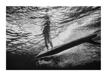 Poster Silhouette Of A Surfer