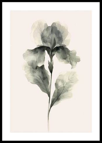 Poster Aquarelle Bloom