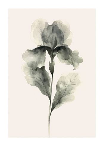 Poster Aquarelle Bloom