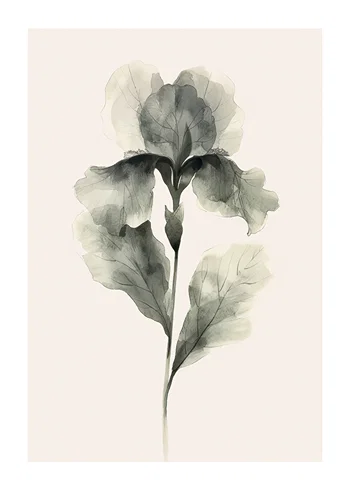 Poster Aquarelle Bloom
