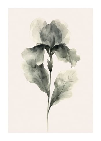 Poster Aquarelle Bloom