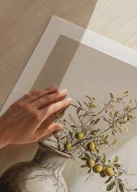 Poster con un dipinto ad acquerello di un ramoscello d'ulivo in un vaso-9