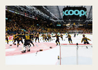 Skellefteås målvakt Linus Söderström jublar med lagkamraterna efter final fem i SHL-5