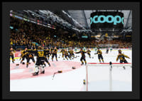 Skellefteås målvakt Linus Söderström jublar med lagkamraterna efter final fem i SHL-6