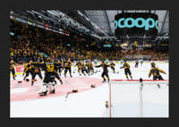 Skellefteås målvakt Linus Söderström jublar med lagkamraterna efter final fem i SHL-7