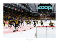 Skellefteås målvakt Linus Söderström jublar med lagkamraterna efter final fem i SHL-1