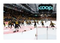 Skellefteås målvakt Linus Söderström jublar med lagkamraterna efter final fem i SHL-1