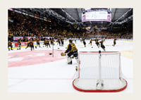 Skellefteås målvakt Linus Söderström jublar med lagkamraterna efter final fem i SHL-5