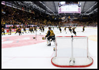 Skellefteås målvakt Linus Söderström jublar med lagkamraterna efter final fem i SHL-8