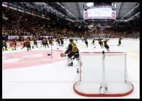 Skellefteås målvakt Linus Söderström jublar med lagkamraterna efter final fem i SHL-2