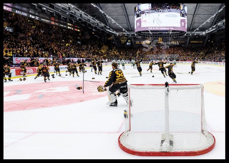 Skellefteås målvakt Linus Söderström jublar med lagkamraterna efter final fem i SHL-12