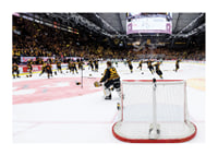 Skellefteås målvakt Linus Söderström jublar med lagkamraterna efter final fem i SHL-3