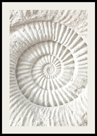 Poster featuring a detailed stone sculpture that mimics a nautilus shell fossil-2