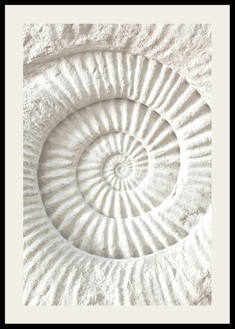 Poster featuring a detailed stone sculpture that mimics a nautilus shell fossil-12