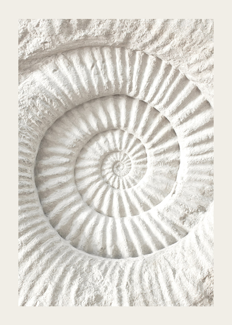 Poster featuring a detailed stone sculpture that mimics a nautilus shell fossil-12