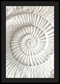 Poster featuring a detailed stone sculpture that mimics a nautilus shell fossil-4