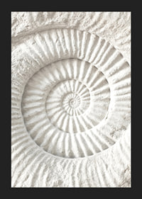 Poster featuring a detailed stone sculpture that mimics a nautilus shell fossil-5