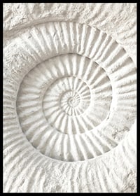 Poster featuring a detailed stone sculpture that mimics a nautilus shell fossil-6