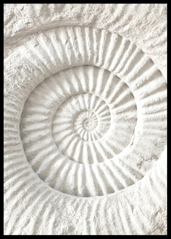 Poster featuring a detailed stone sculpture that mimics a nautilus shell fossil-12