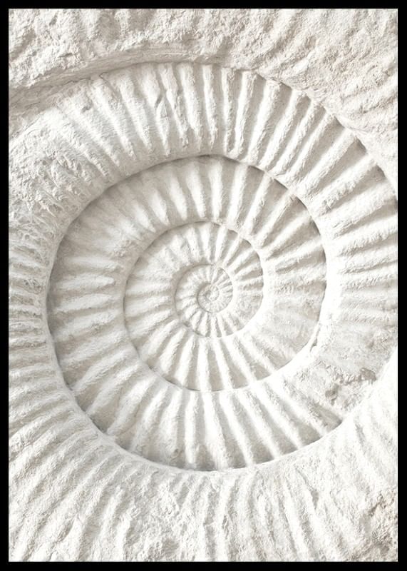 Poster cu o sculptură detaliată în piatră care imită o fosilă de scoici de nautilus-12