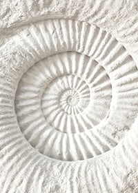 Poster featuring a detailed stone sculpture that mimics a nautilus shell fossil-7