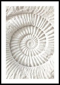 Poster featuring a detailed stone sculpture that mimics a nautilus shell fossil-0