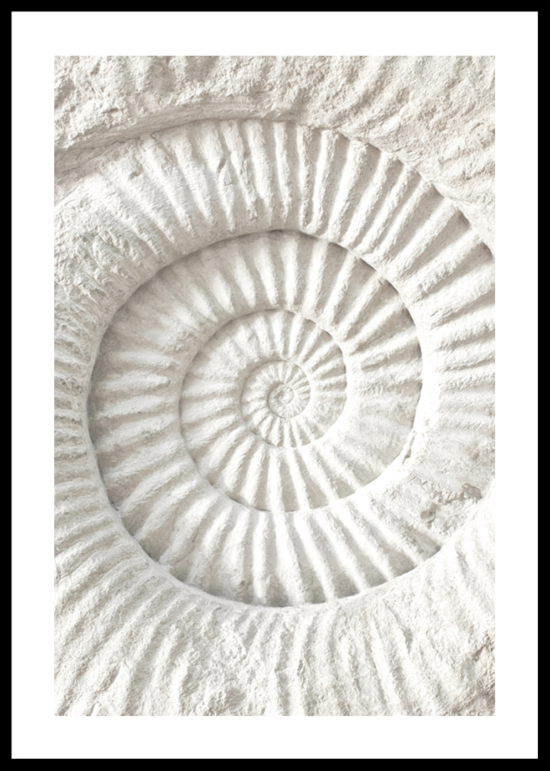 Poster featuring a detailed stone sculpture that mimics a nautilus shell fossil-12
