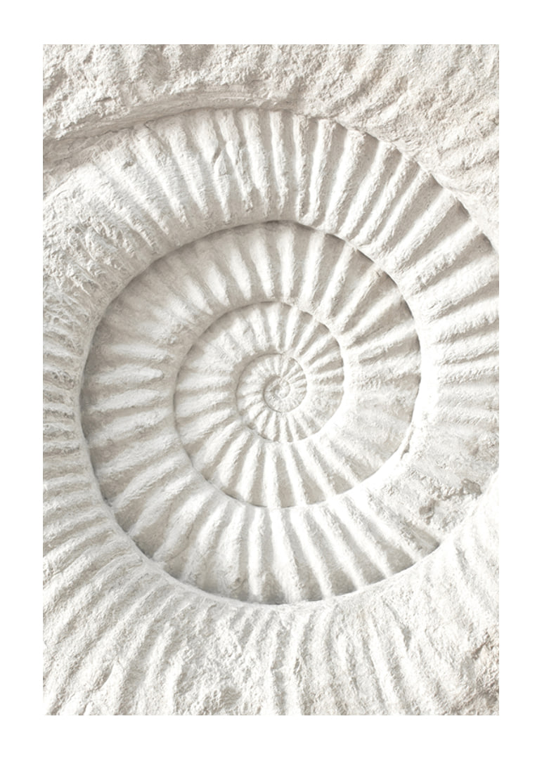 Poster featuring a detailed stone sculpture that mimics a nautilus shell fossil-12