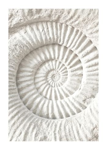 Poster The Nautilus Carving