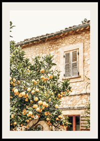 Poster con la fotografia di un albero di limone in un ambiente mediterraneo-2