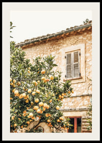 Poster med ett fotografi på ett citronträd i Medelhavsmiljö-2