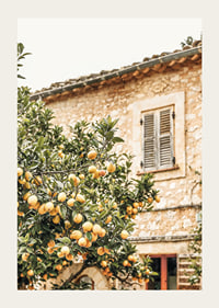 Poster con la fotografia di un albero di limone in un ambiente mediterraneo-3
