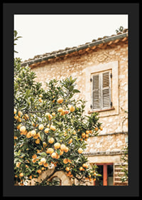 Poster con la fotografia di un albero di limone in un ambiente mediterraneo-4