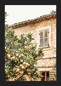 Poster con la fotografia di un albero di limone in un ambiente mediterraneo-5
