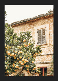 Poster med ett fotografi på ett citronträd i Medelhavsmiljö-5